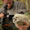 Vyr velky - Bubo bubo - Eurasian Eagle-Owl 0878
